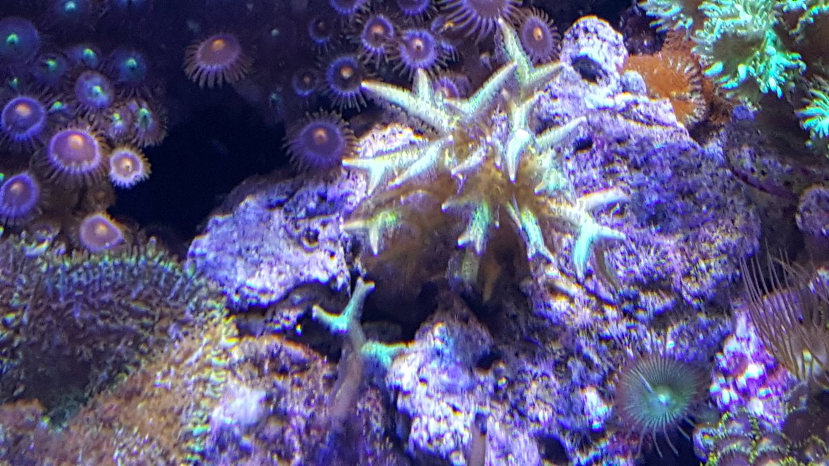 20170104_134744.jpg