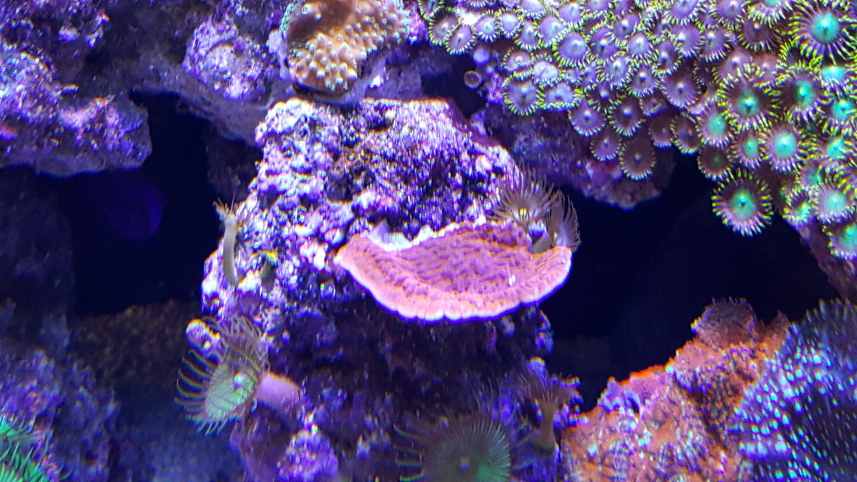 20170104_134802.jpg