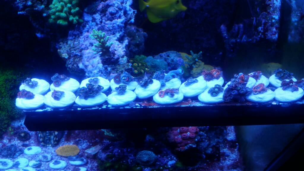 20170105_204543.jpeg