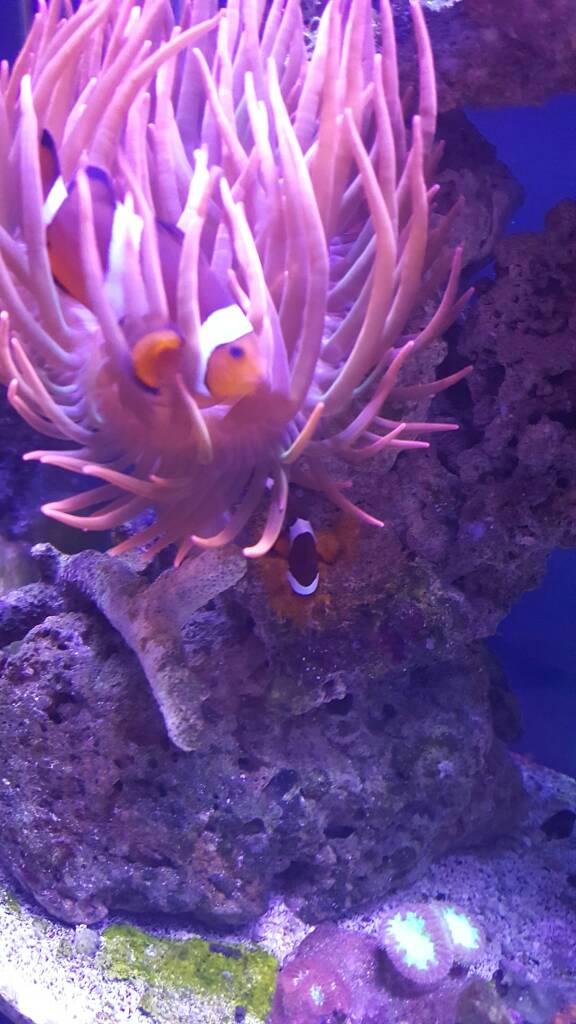 20170106_184420.jpeg