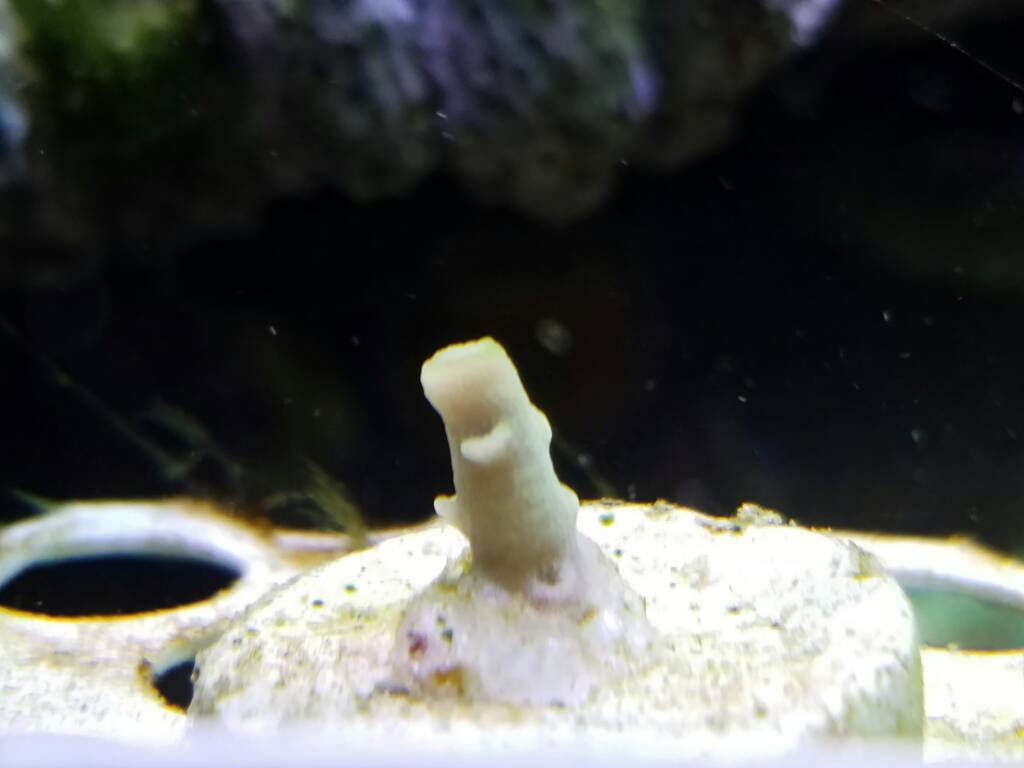 20170108_112306.jpg