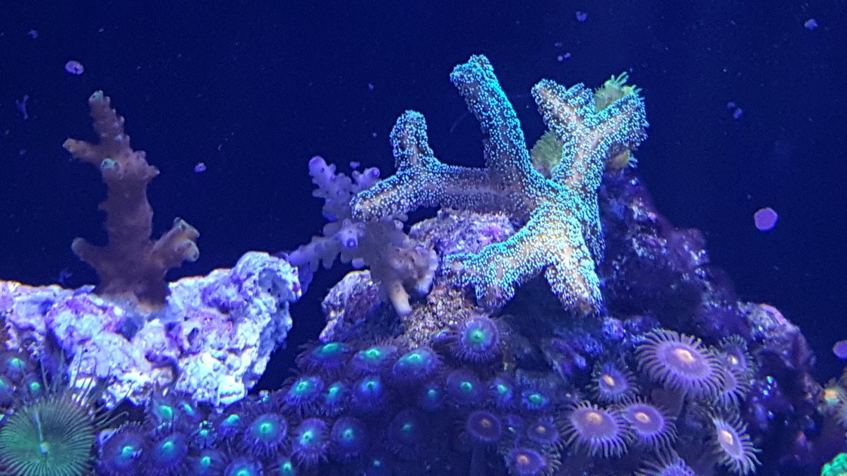 20170108_210754.jpg