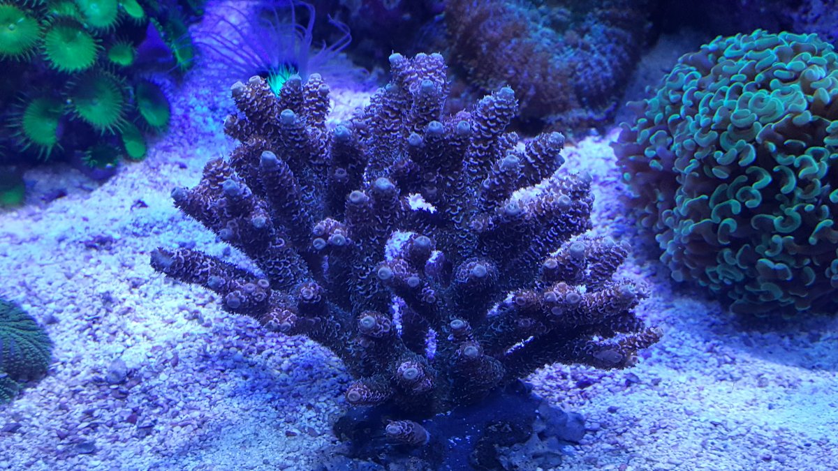 20170108_210800.jpg