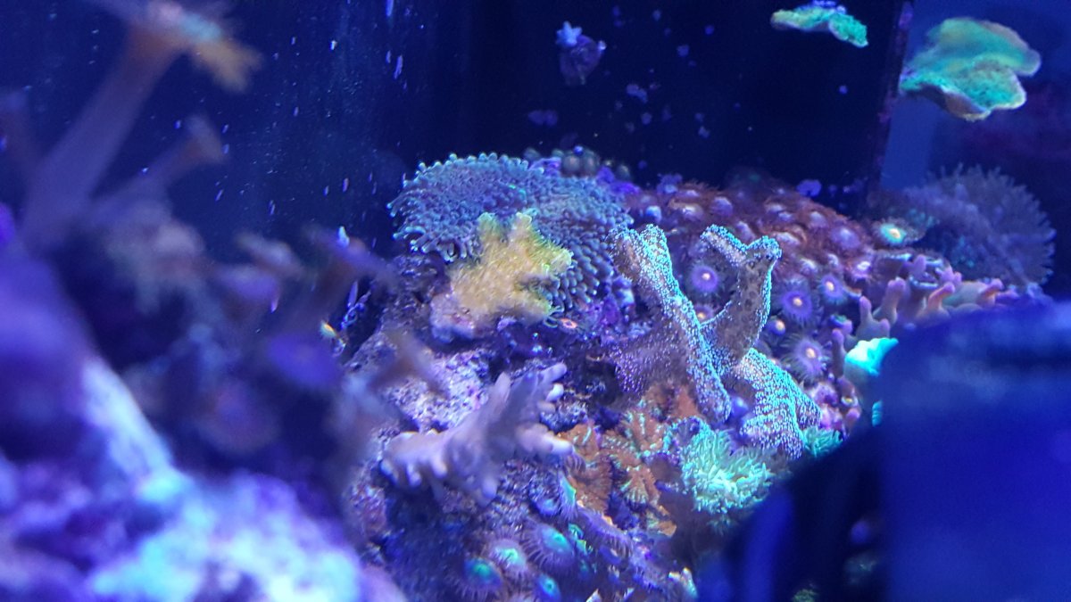 20170108_210817.jpg