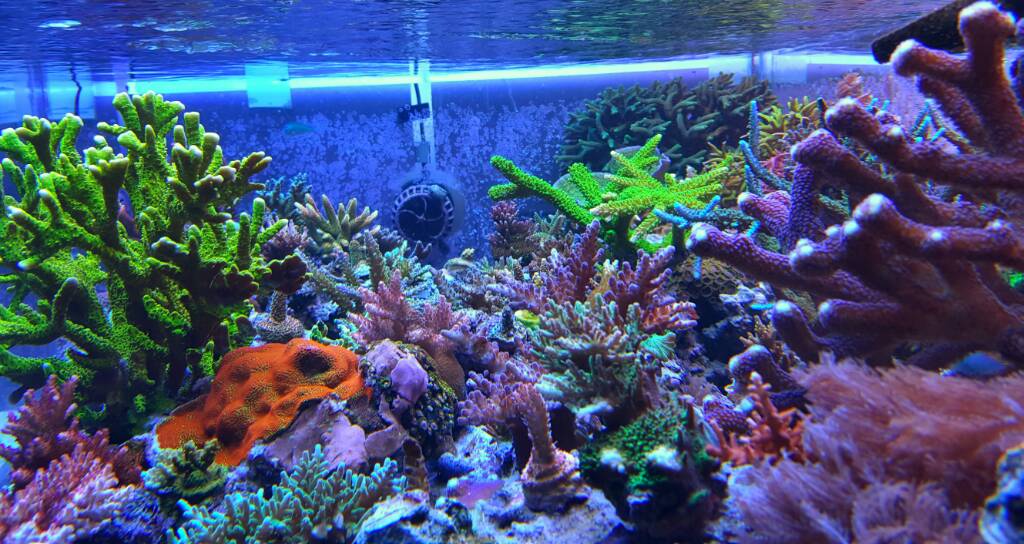 20170109_160041-01.jpeg