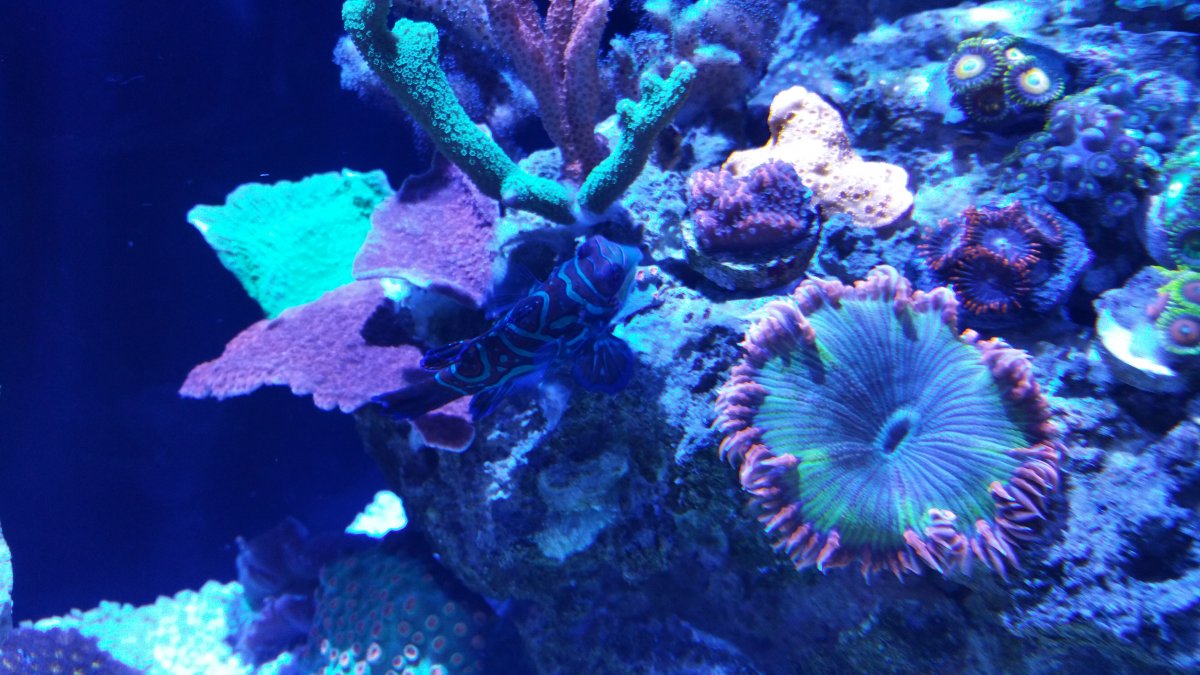 20170110_175245.jpg