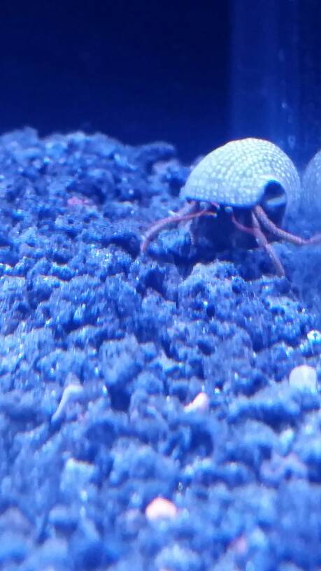 20170110_183149.jpeg