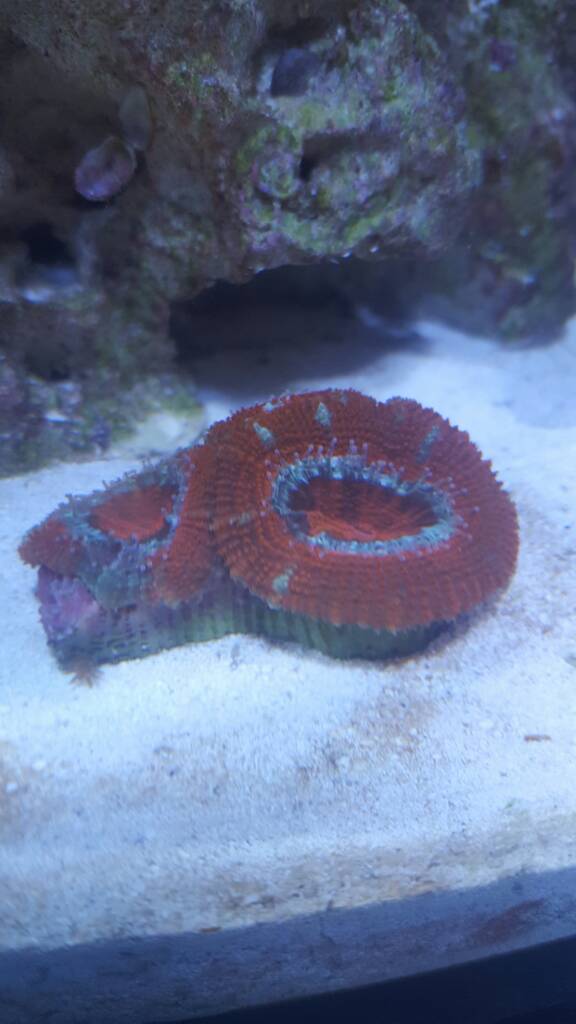 20170110_193857.jpeg