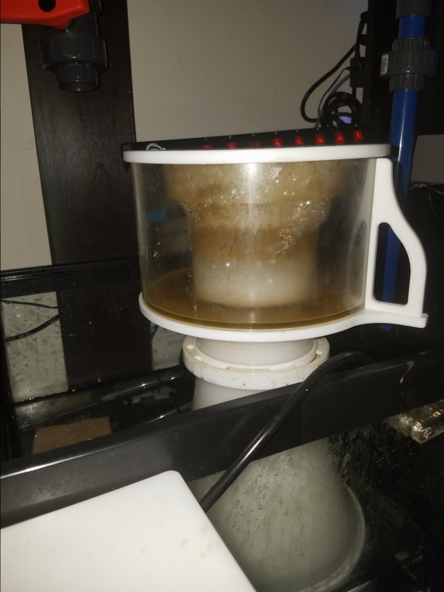 20170110_195718.jpg