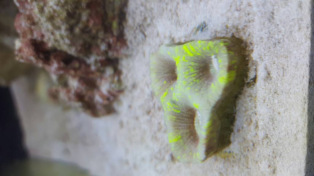 20170111_170925.jpg