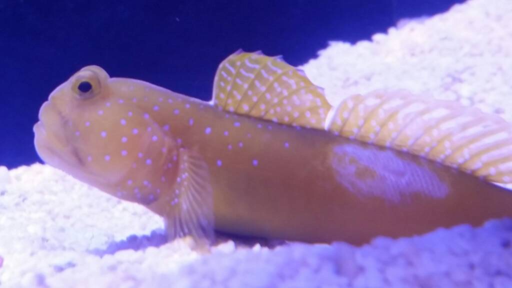 20170111_181517.jpg