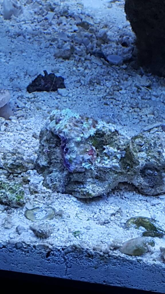 20170112_145842.jpeg