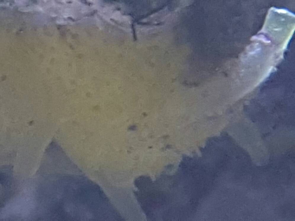 20170114_193325.jpeg