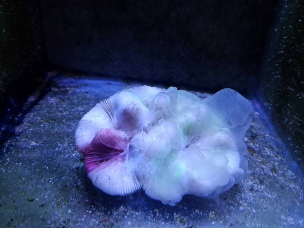 20170114_203136.jpeg