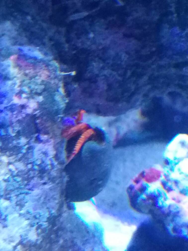 20170114_210727.jpeg