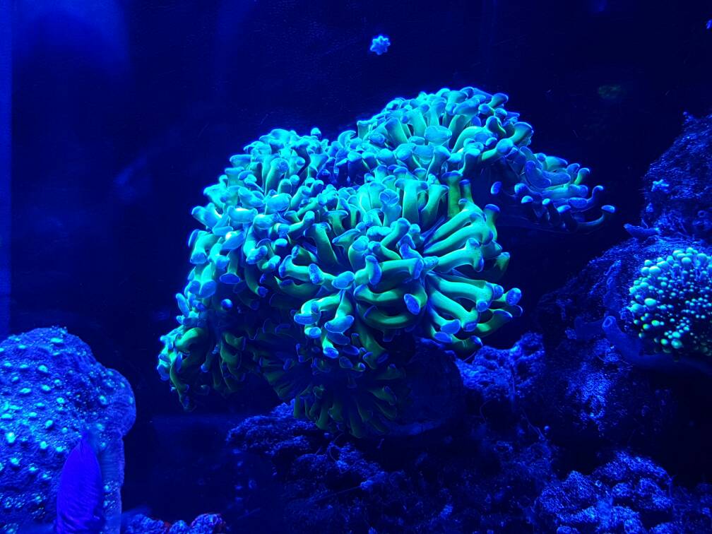20170115_195559.jpg