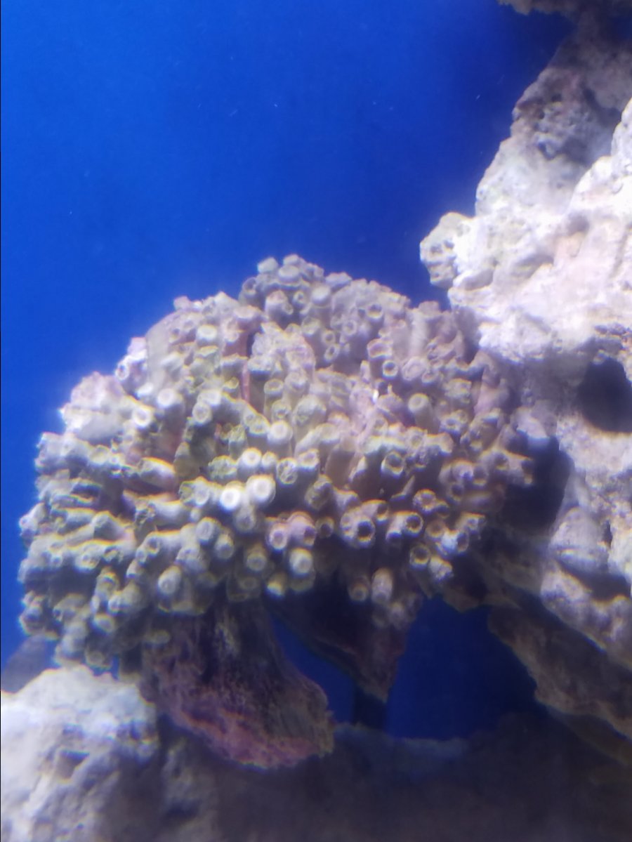 20170115_201743.jpg