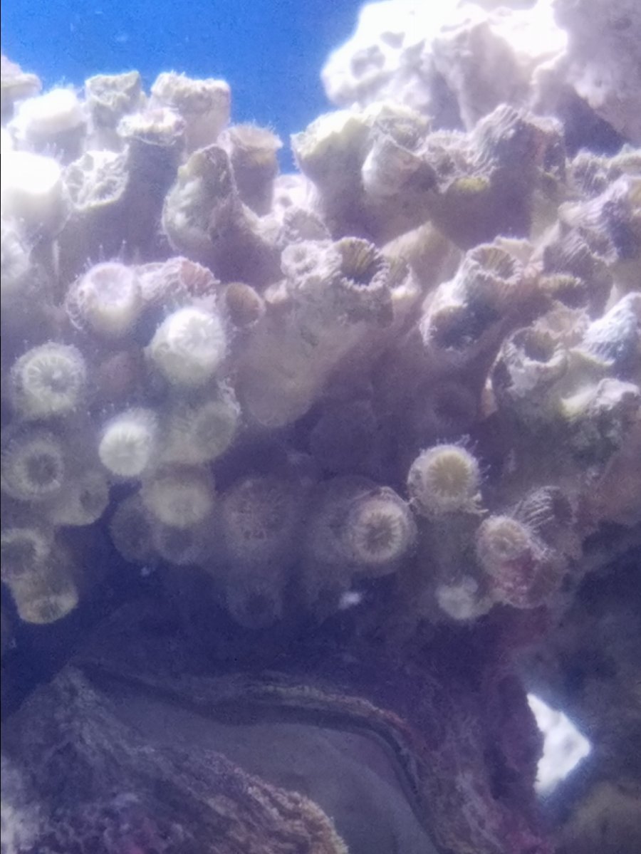 20170115_201800.jpg