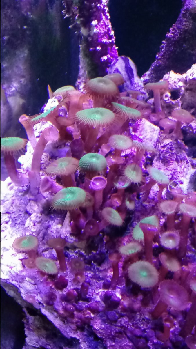 20170116_155211.jpg