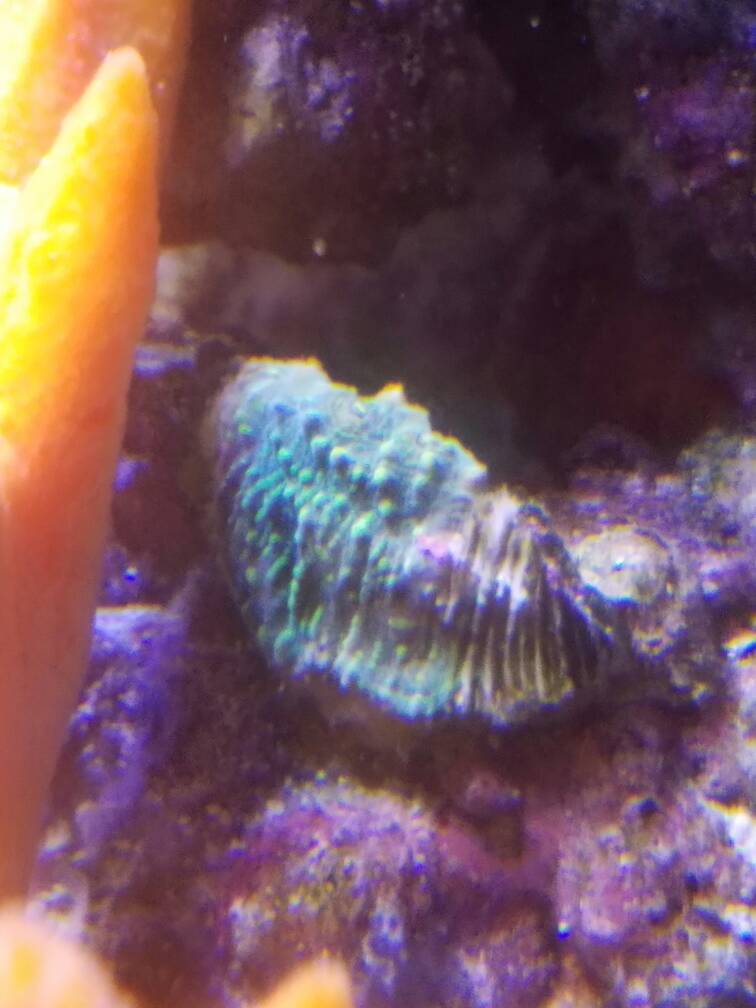 20170117_175535.jpg