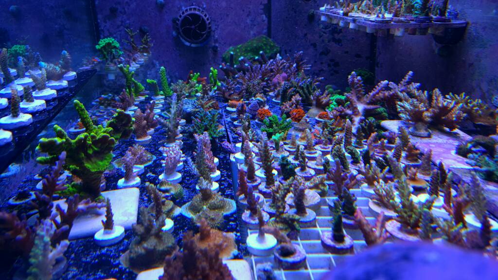 20170117_200641-01.jpeg