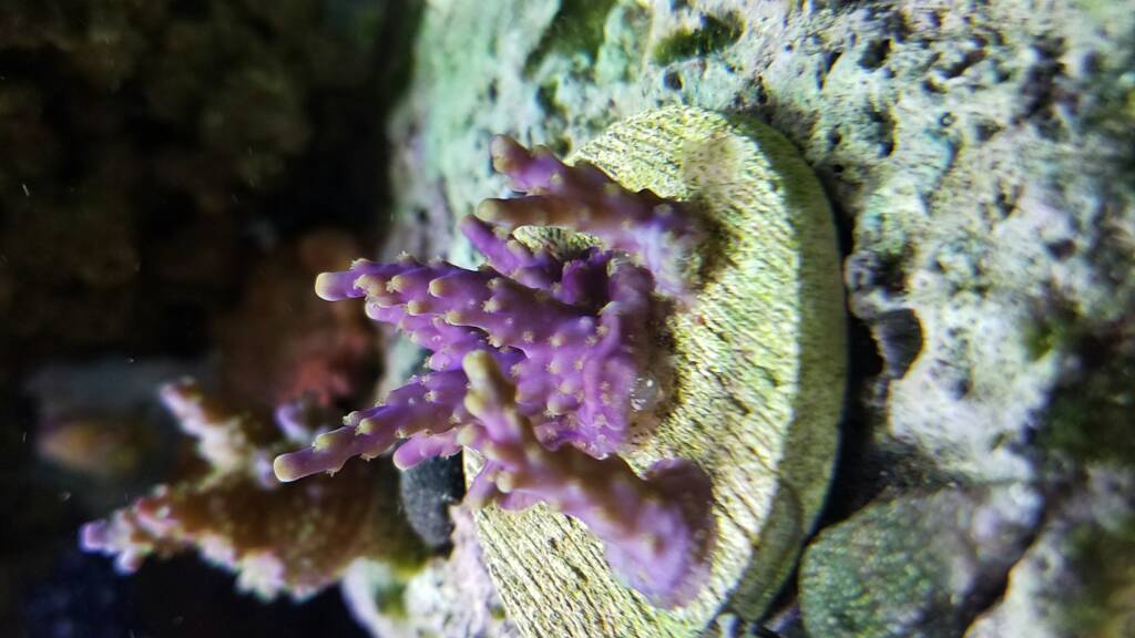 20170119_104737.jpg