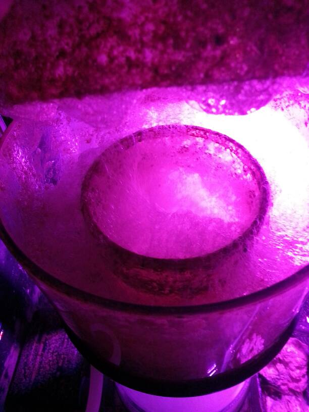 20170122_082307.jpg
