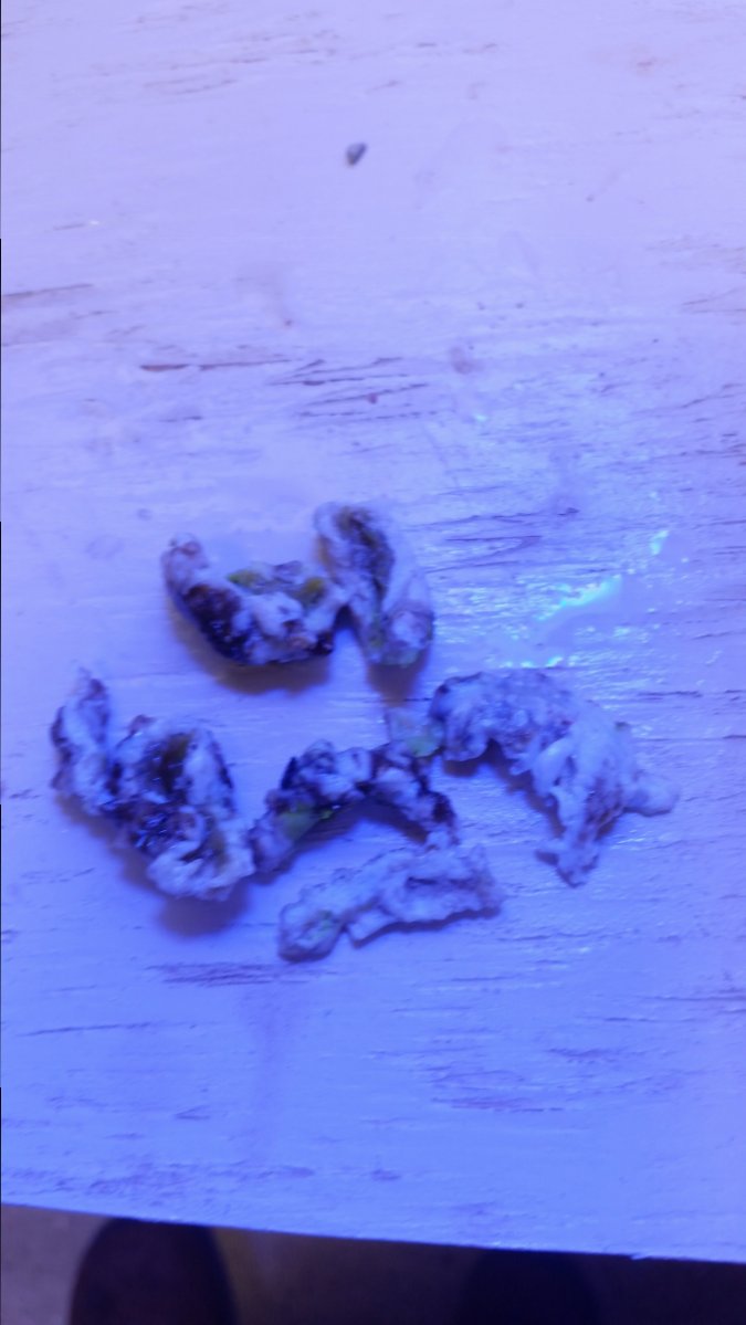 20170122_144632.jpg