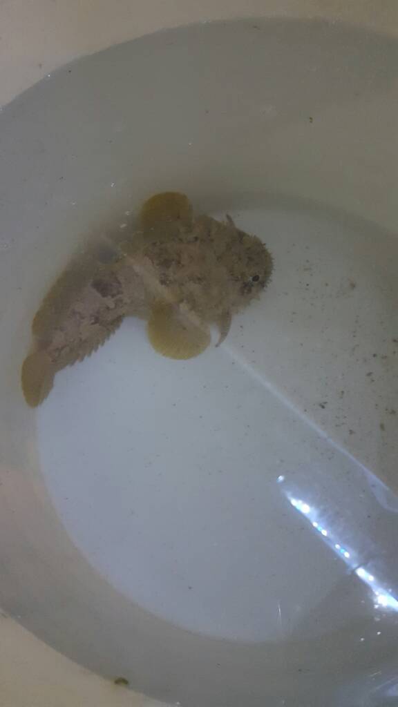 20170122_170108.jpg