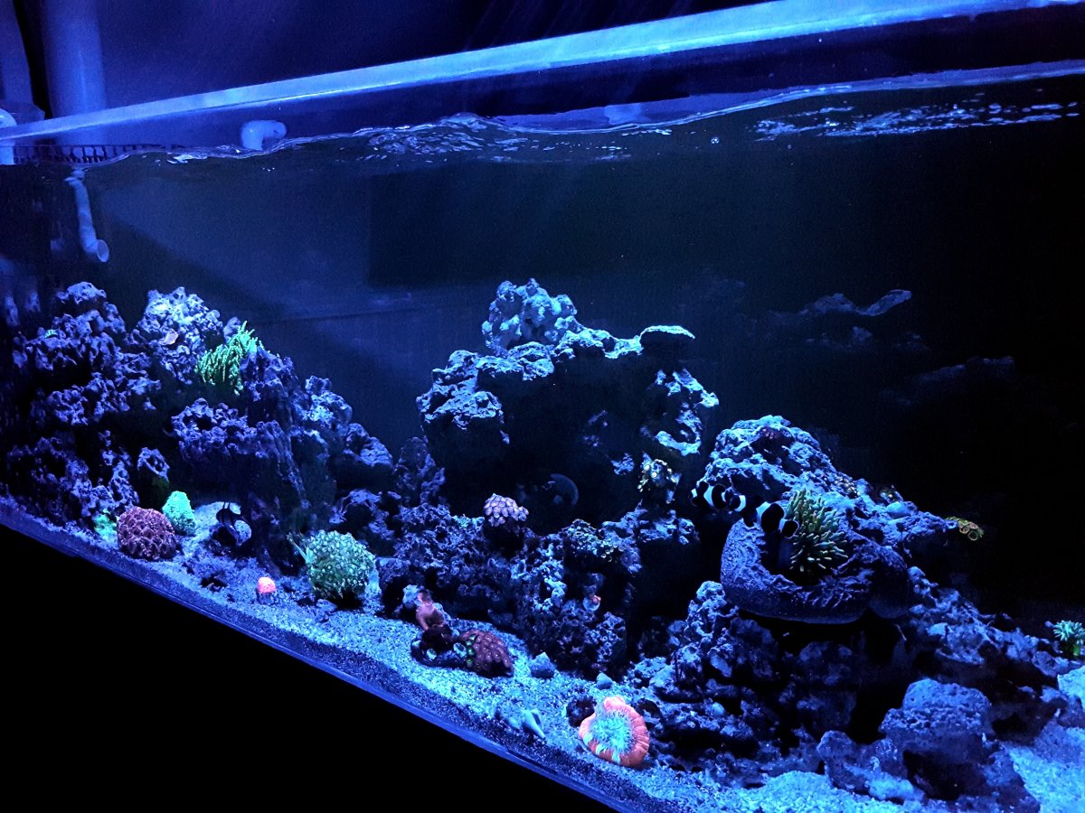 20170123_210140.jpg