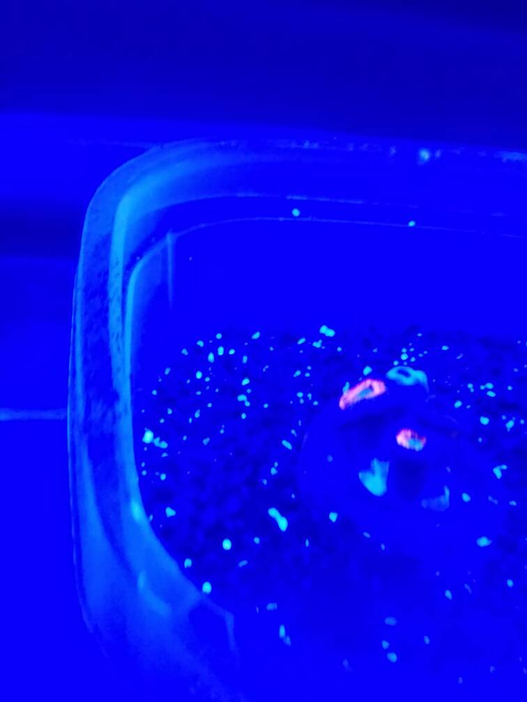 20170124_124932.jpeg
