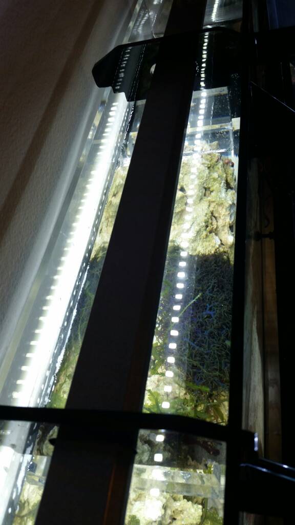 20170124_171131.jpeg