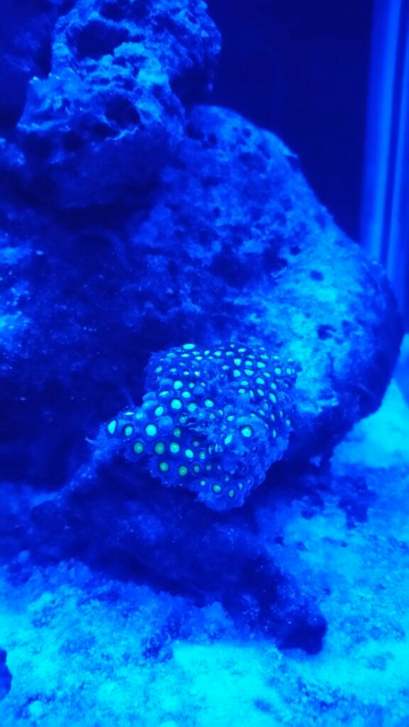 20170124_193913.jpeg