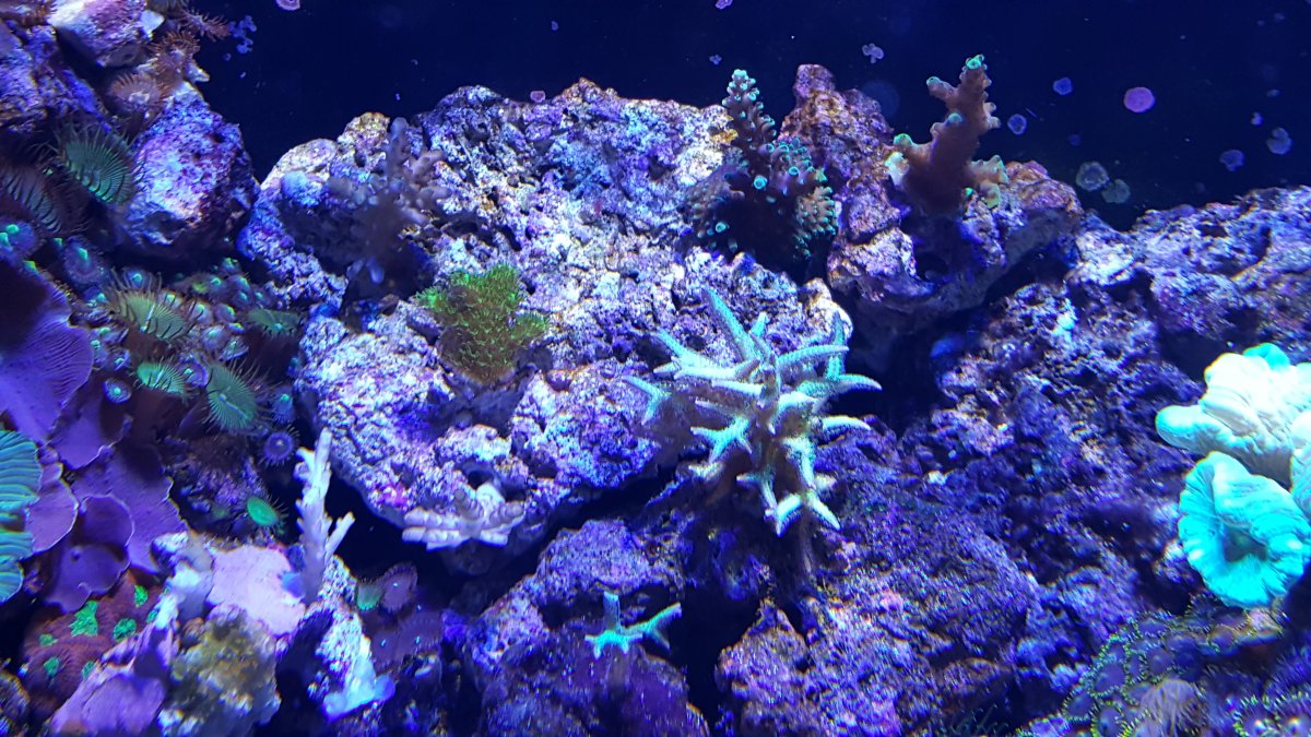 20170125_161817.jpg