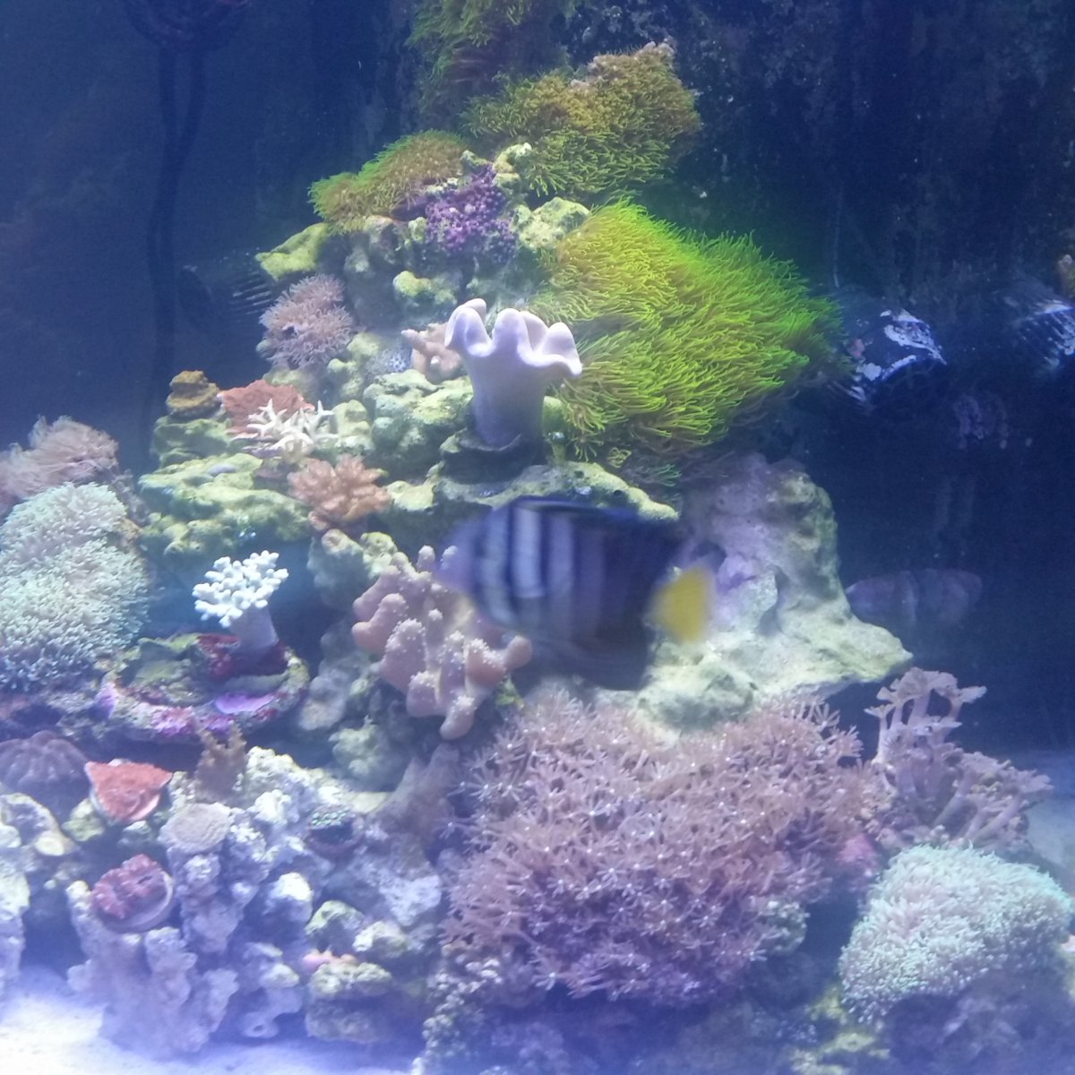 20170125_201229.jpg