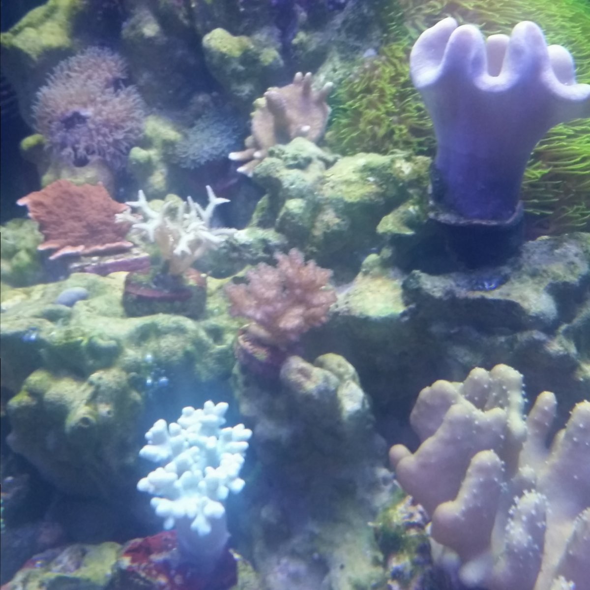 20170125_201611.jpg