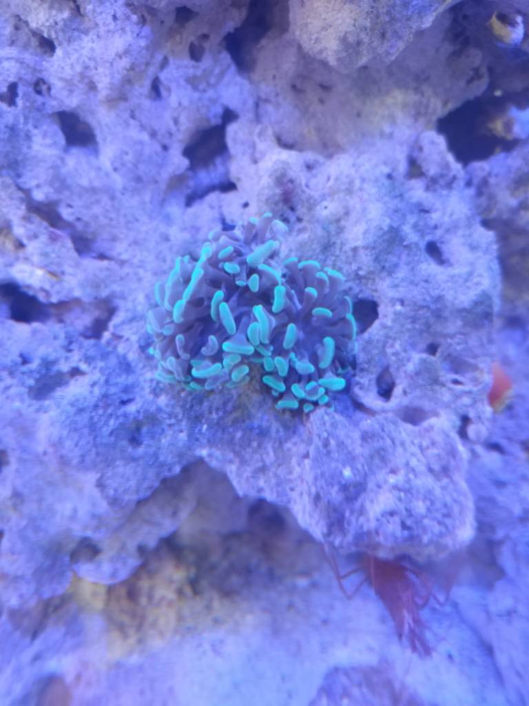 20170125_204306.jpg