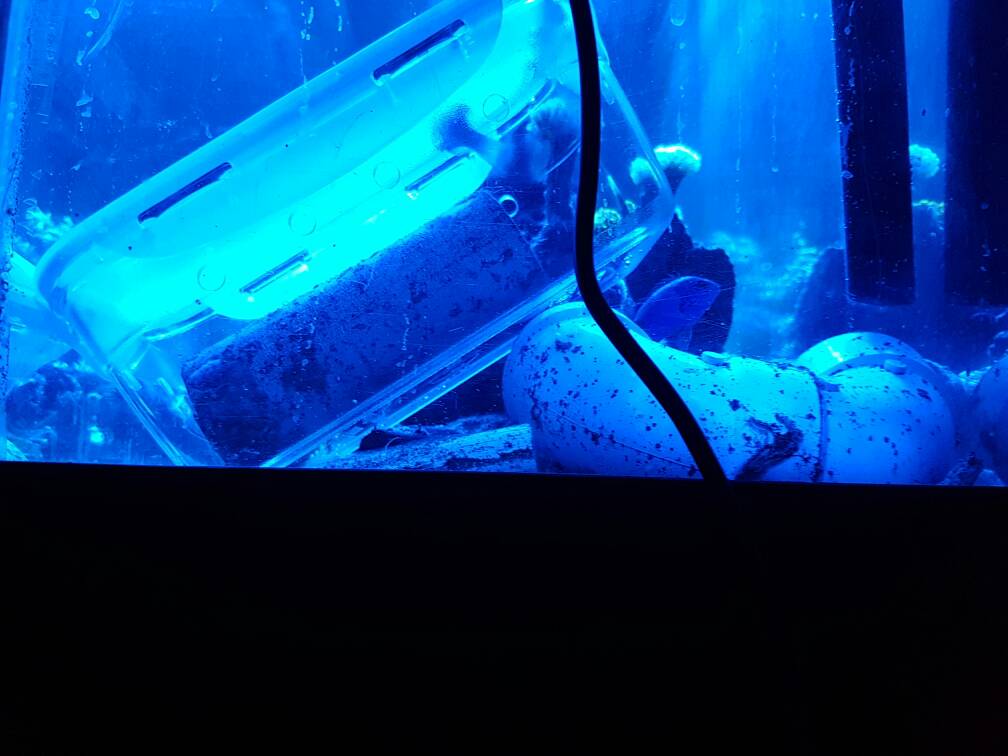 20170125_211844.jpg