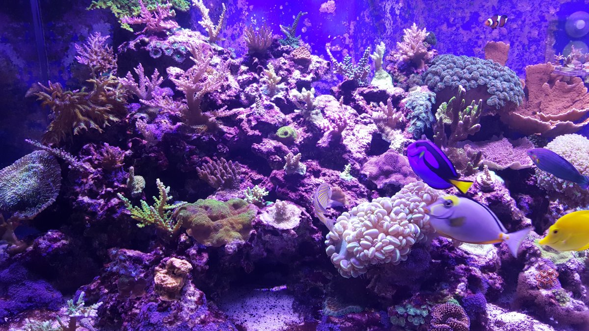 20170128_191909.jpg
