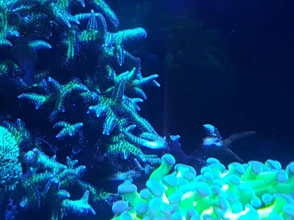 20170128_193929.jpg