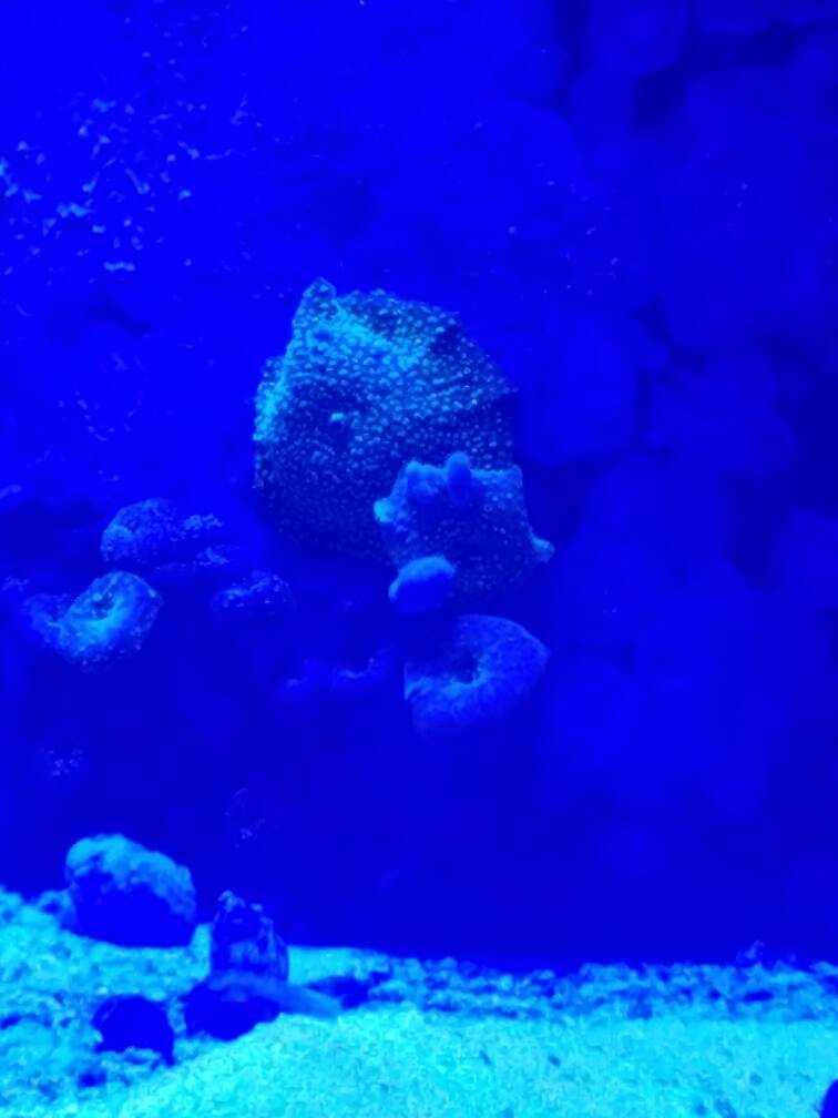 20170129_131910.jpeg