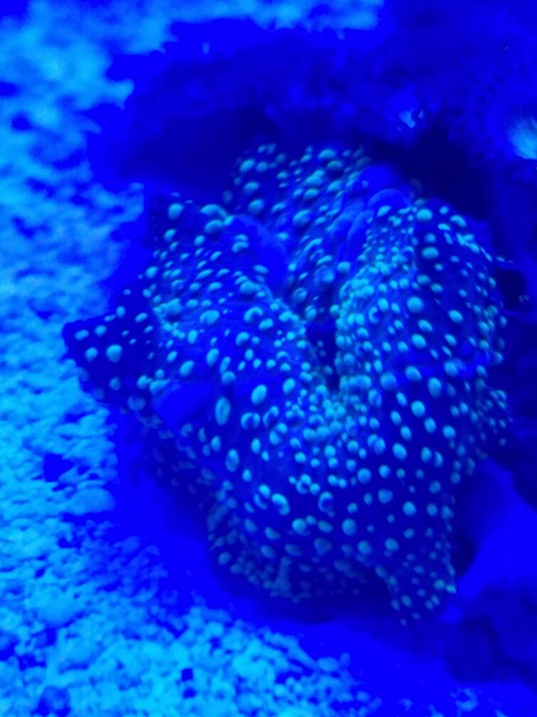 20170129_132040.jpeg