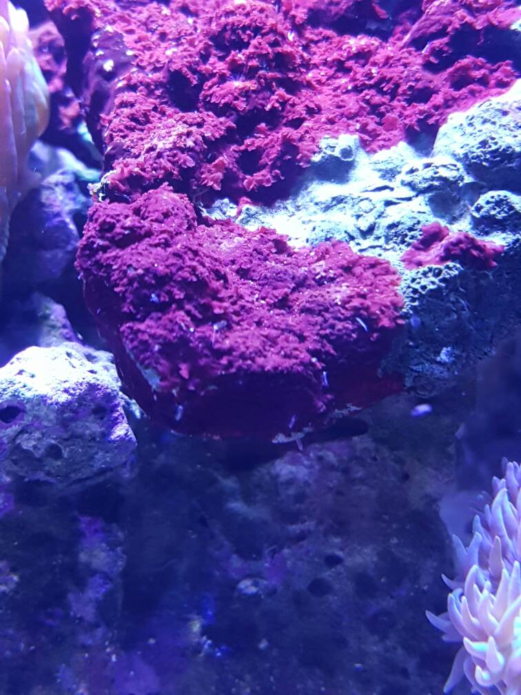 20170129_174439.jpg