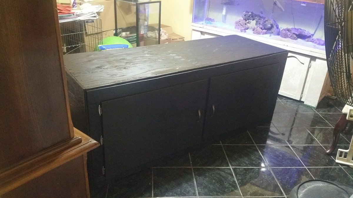 20170129_213525.jpg
