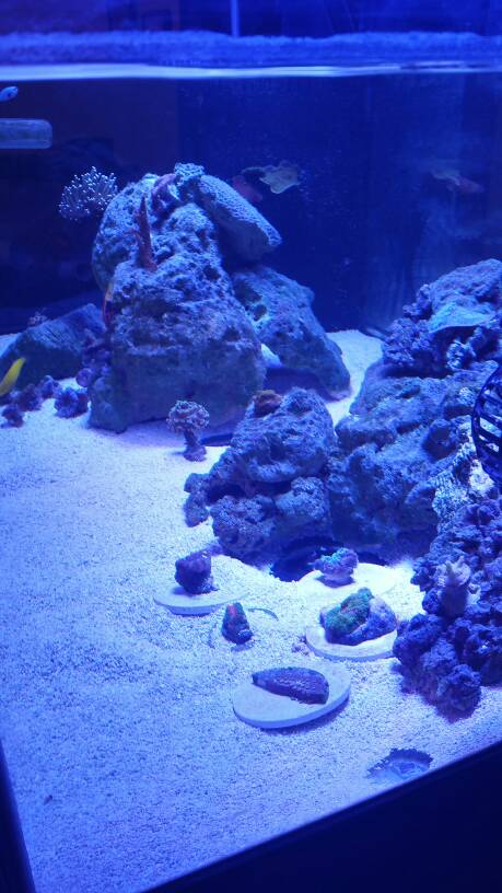 20170131_201348.jpeg
