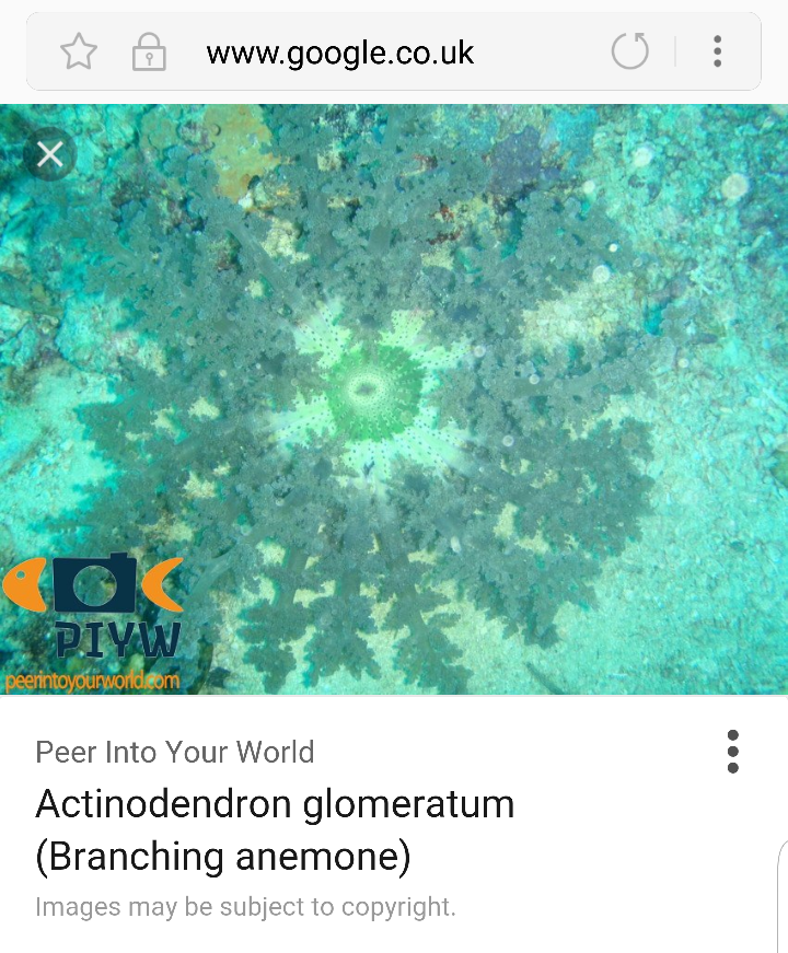 20170202_160804.png