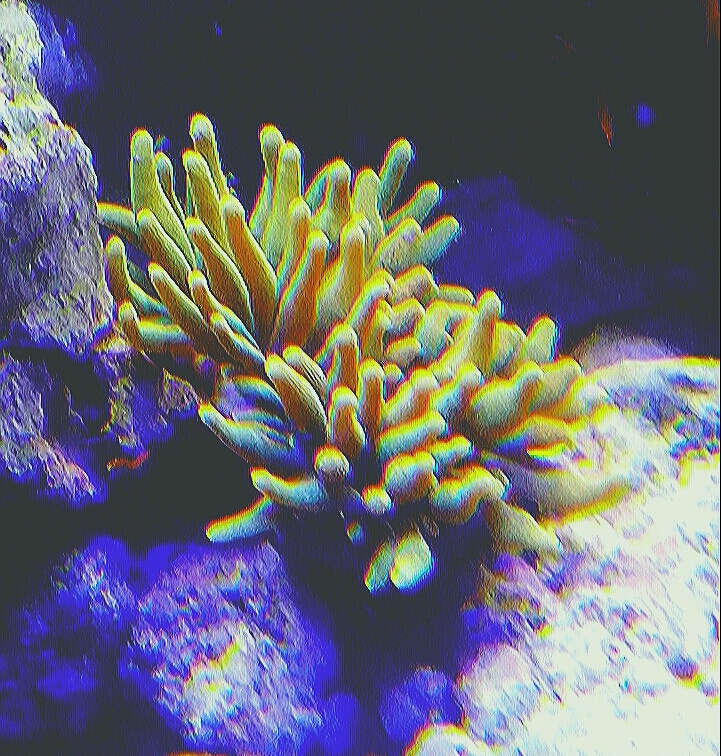 20170203_201658.jpg