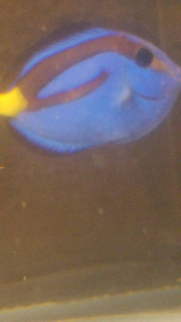 20170204_131815.jpeg