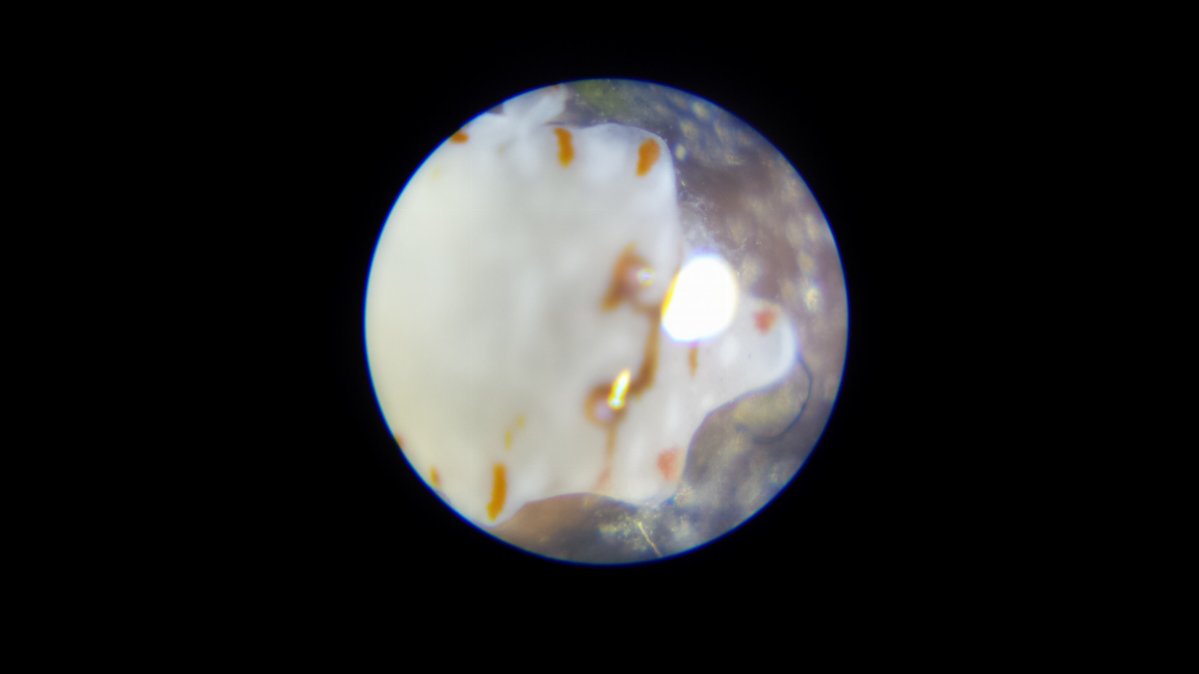 20170205_135751.jpg
