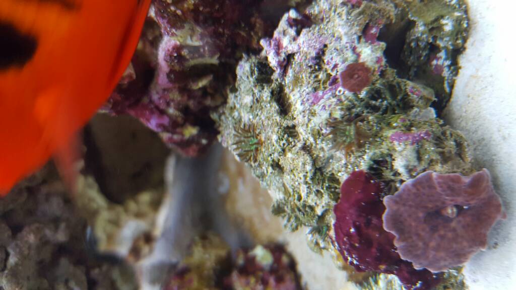 20170205_160700.jpg